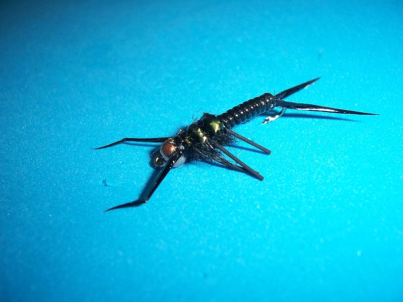 misc flies 2-11 028.jpg